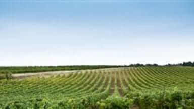 Environmental analysis news: Farmers urged to take care when irrigating land