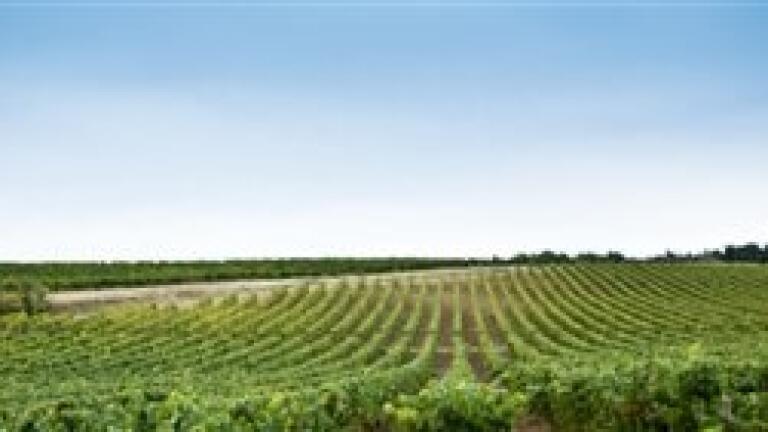 Environmental analysis news: Farmers urged to take care when irrigating land
