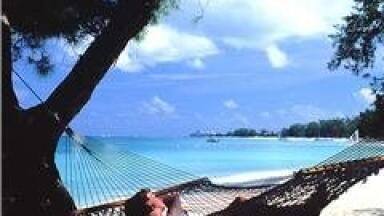 'Investment needed' to preserve biodiversity in Cayman Islands