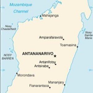 Environmental analysis news: Madagascar rainforests 'being plundered'