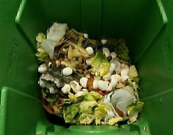 Environmental analysis news: Households 'wasting 8.3 billion tonnes of food every year' - Vimarsana News