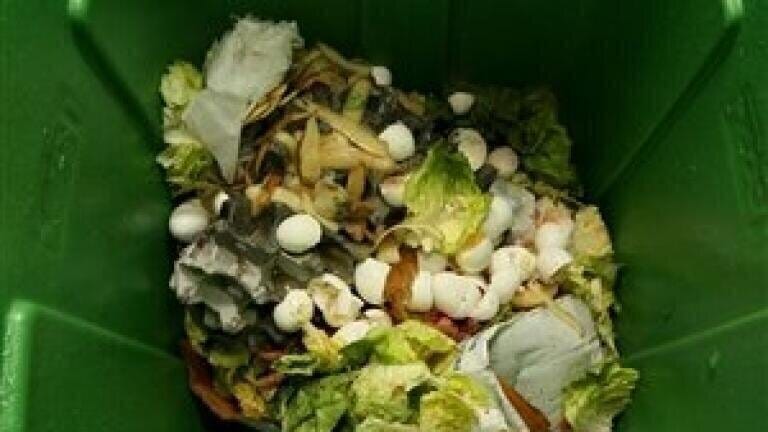 Environmental analysis news: Households 'wasting 8.3 billion tonnes of food every year'