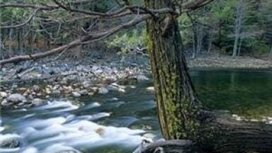 Environmental analysis news: Hotel fined after sewage pollutes stream