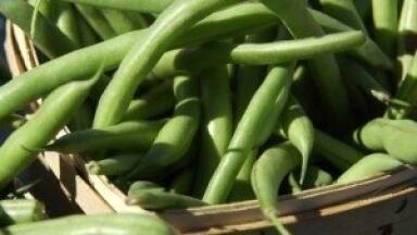 Small-scale farming 'can improve biodiversity'