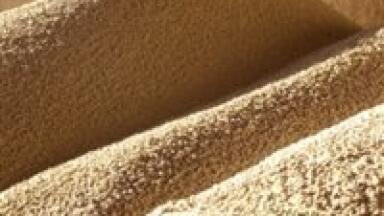 Environmental analysis news: Growing GM crops 'can benefit farmers'
