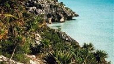 Gulf of Mexico oil spill 'worse than thought'