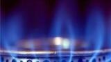 ATEX Approved Flammable Gas Sensor for Extreme Environments