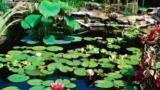 Curbing Waste Can Help Solve Water Crisis