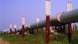 Give your gas analysis requirements the 'green light'