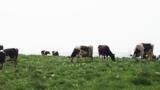 Charges for Environmental Permits 2013-14