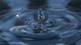 Iceland’s Star-Oddi Team with Planet Ocean