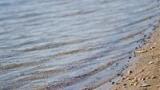 World Water Forum Ministerial Declaration Fails to Respond to Water, Sanitation Crises
